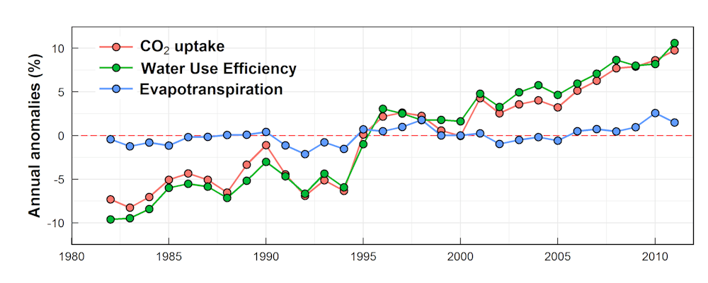 Rising Carbon Dioxide Is Making The World S Plants More Water Wise