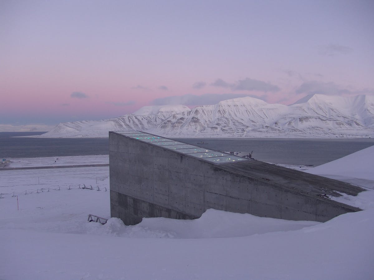 After Svalbard Why Safety Of World Seed Vaults Is Crucial To Future Food Security After Svalbard Why Safety Of World Seed Vaults Is Crucial To Future Food Security