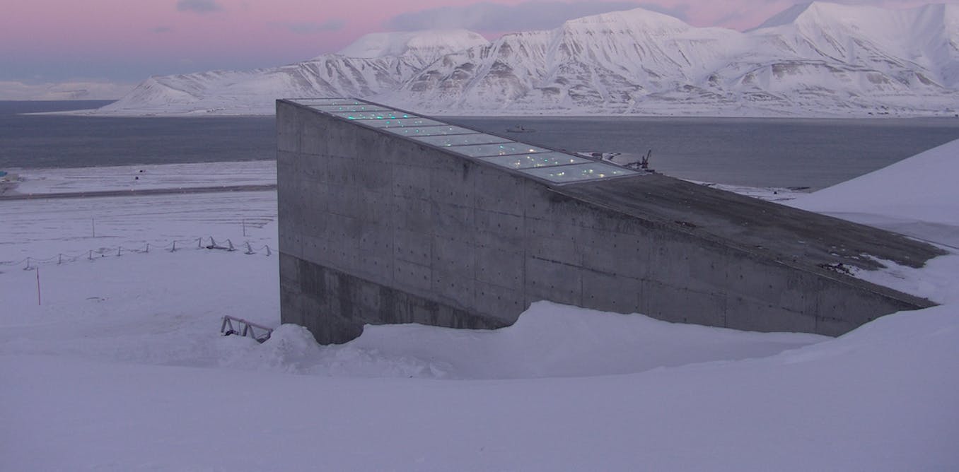After Svalbard Why Safety Of World Seed Vaults Is Crucial To Future Food Security After Svalbard Why Safety Of World Seed Vaults Is Crucial To Future Food Security