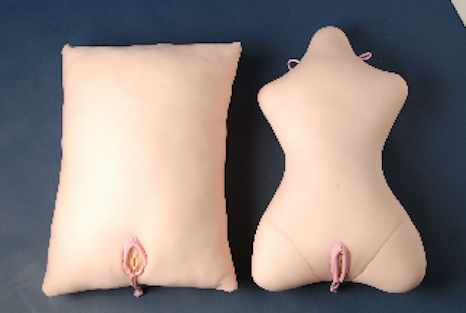 Body Pillow Sex Toy.