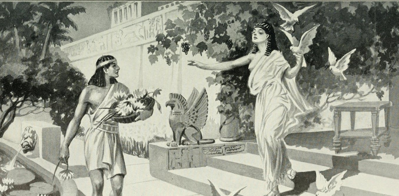 Suny binghamton sat essay essay on mesopotamia