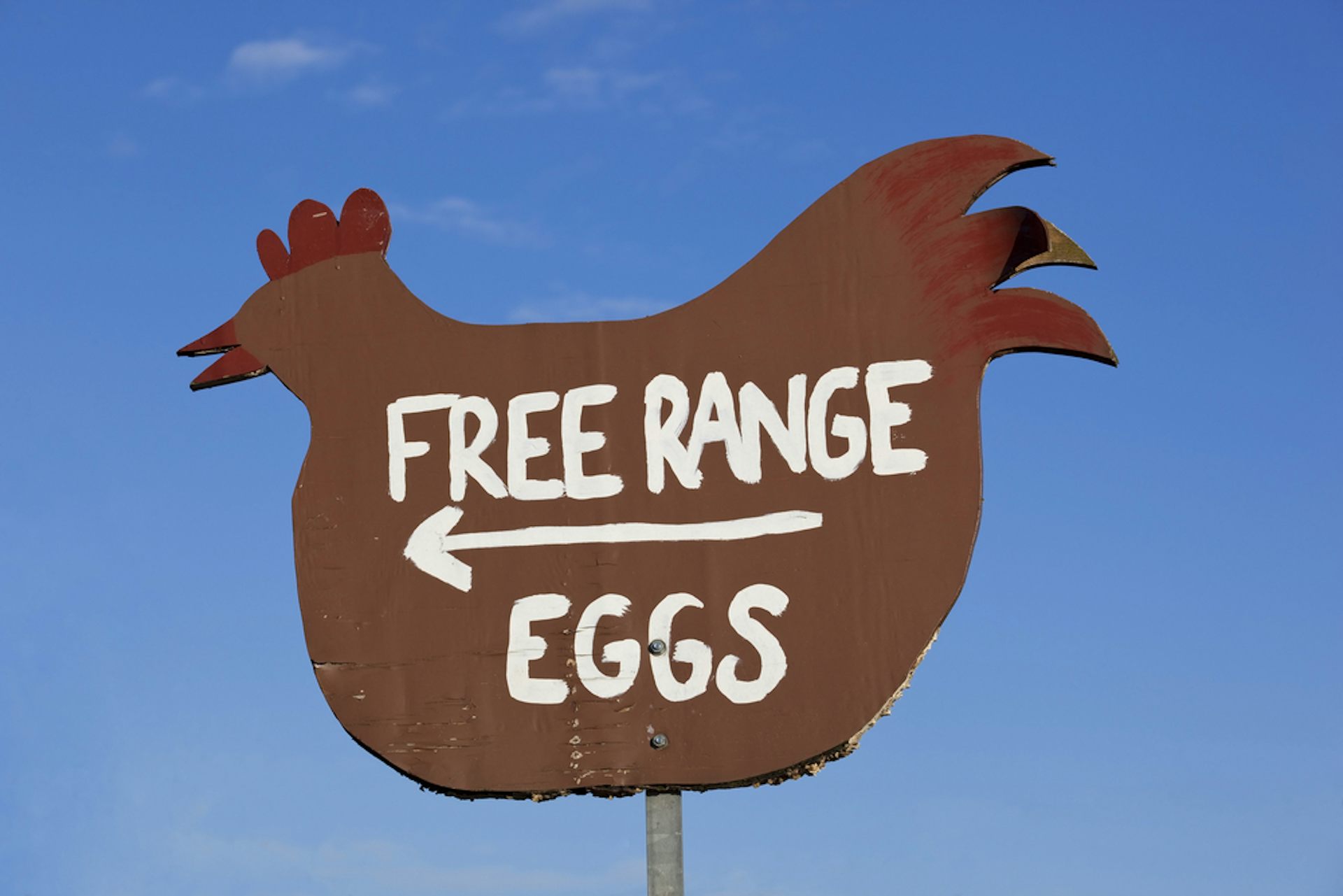 What does ‘free range’ mean? Why the ACCC was right to knock back egg