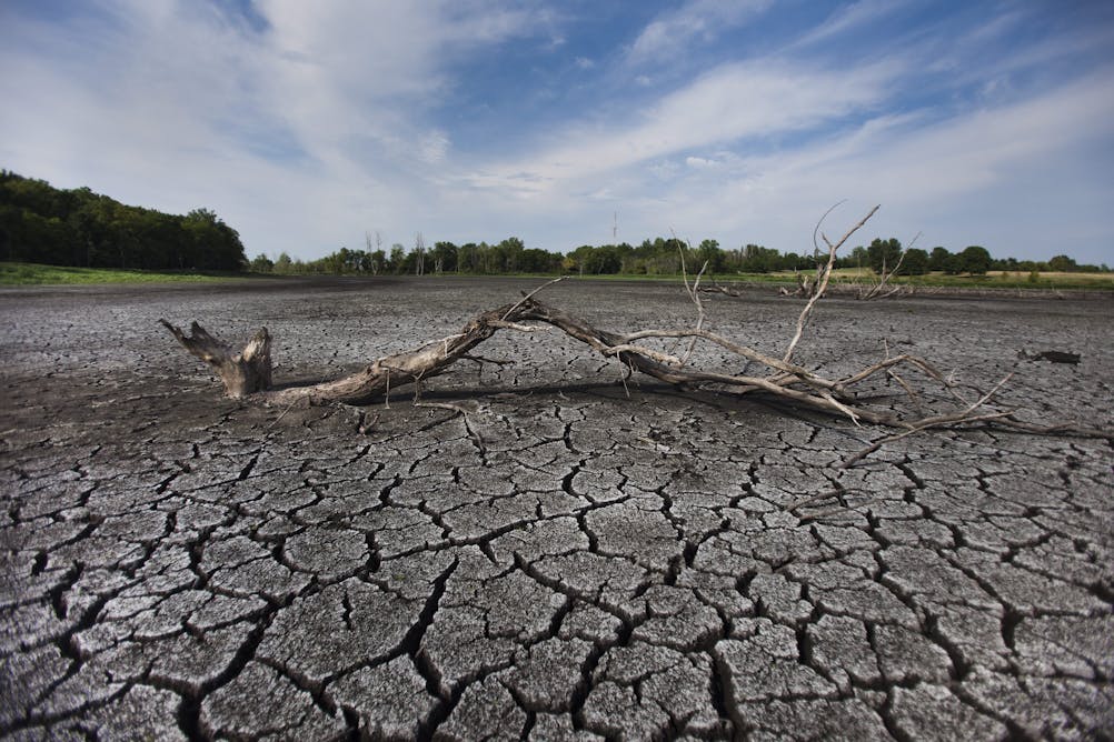 Глобальные изменения климата среды обитания. Вырубка лесов и опустынивание. Засуха. Засуха и наводнение. Осушенное болото.