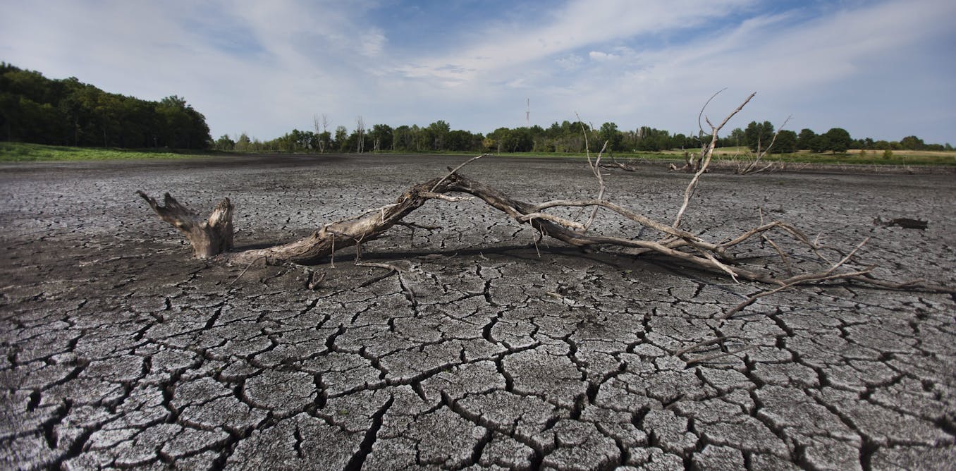 Разрушение природных ресурсов. Вырубка лесов и опустынивание. Засуха. Засуха и наводнение. Осушенное болото.