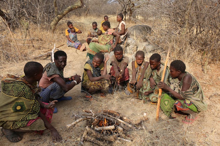 Hadza women lightly roasting starch and fiber-rich ekwa tubers. (Jeff Leach)