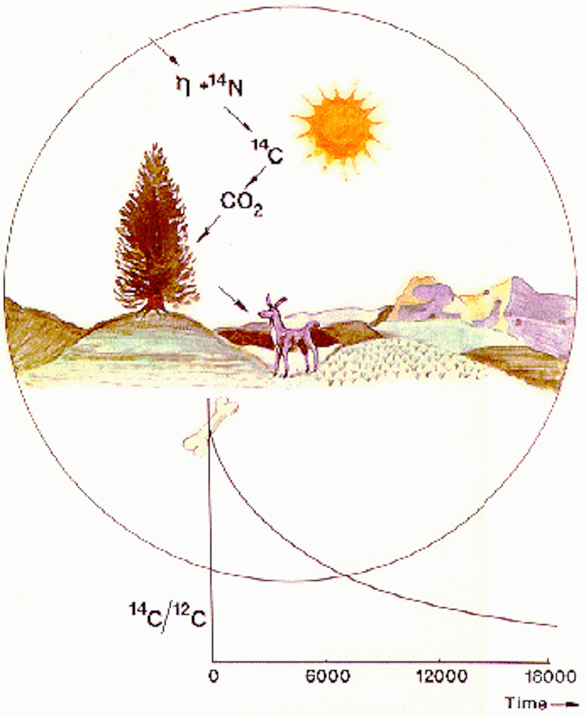 carbon dating oil