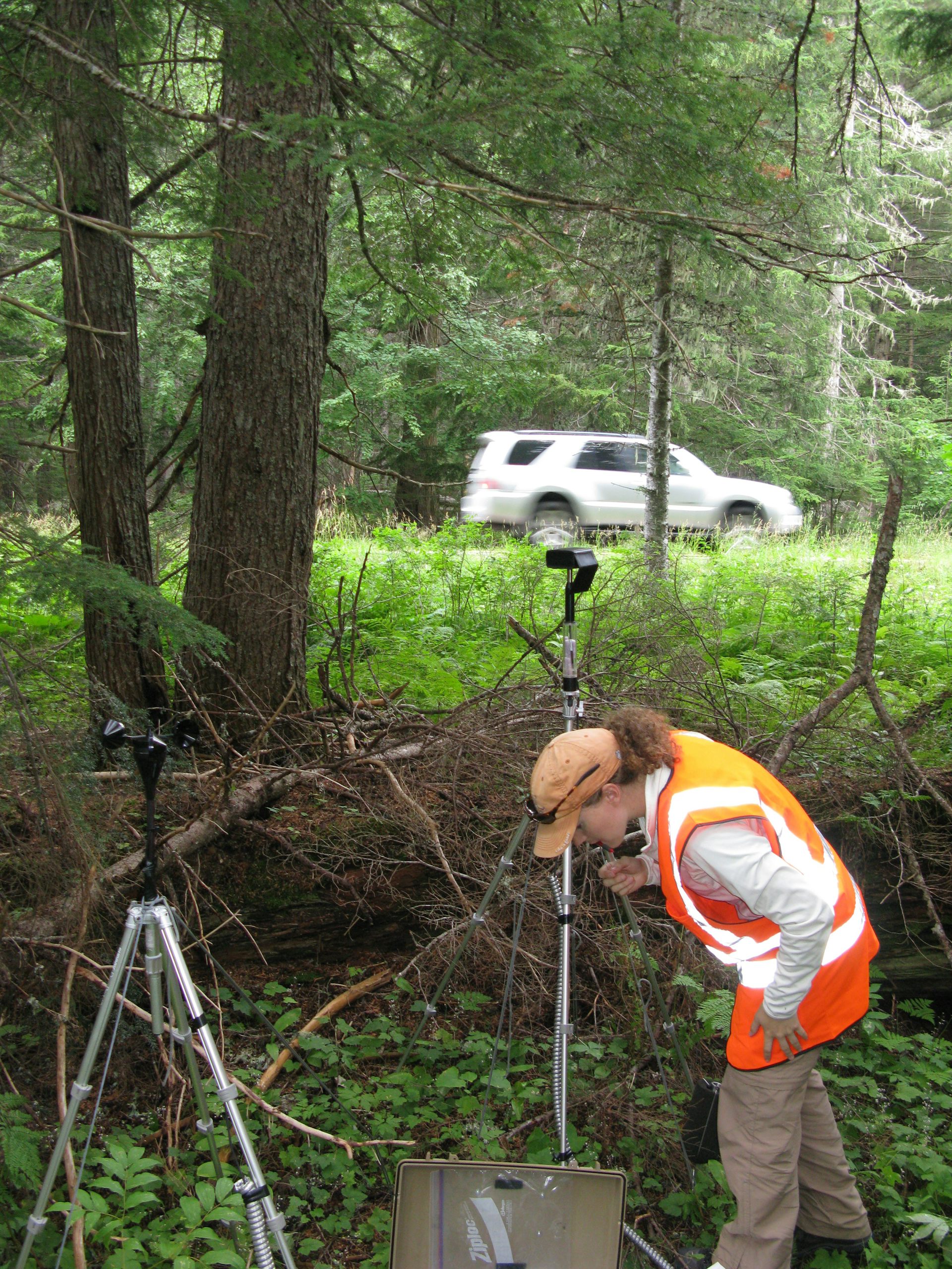 Human noise pollution is disrupting parks and wild places