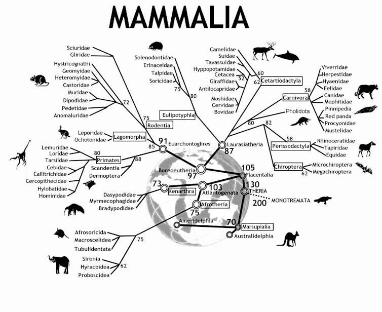 Explainer What Is Bioinformatics explainer-what-is-bioinformatics