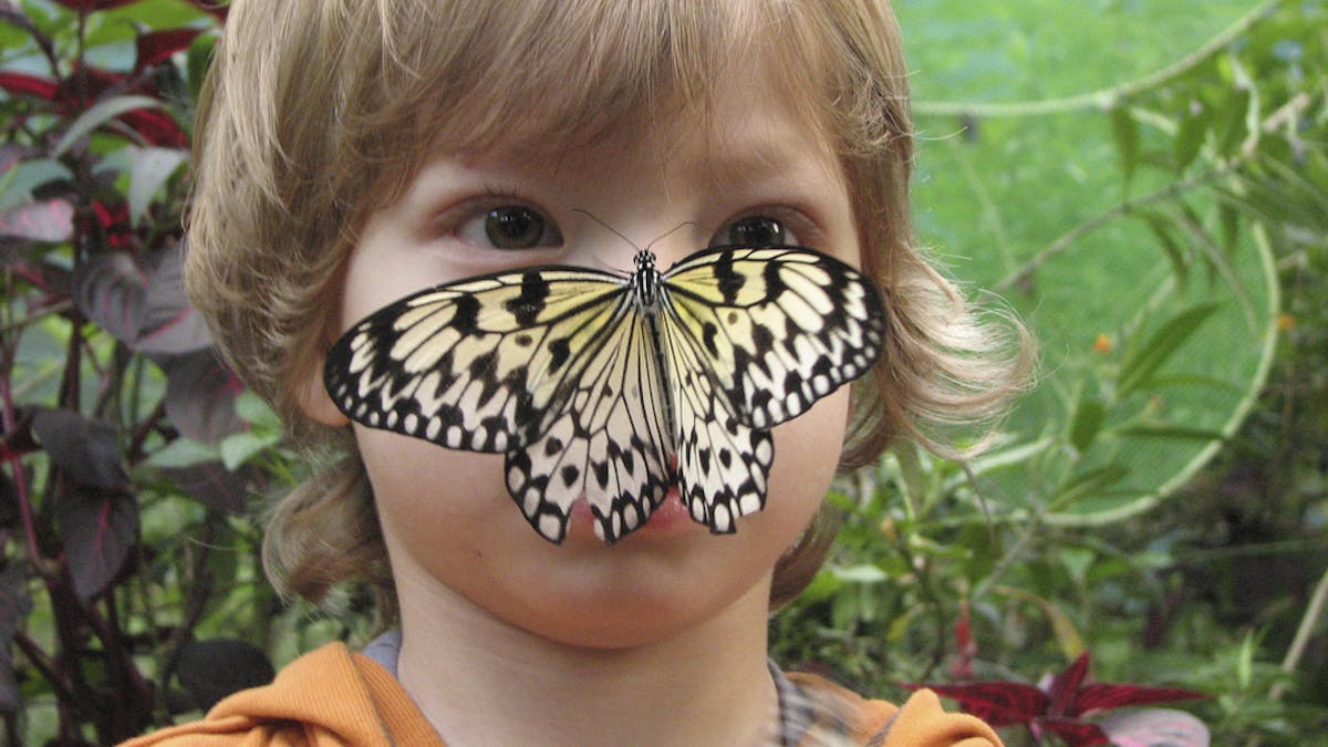 Explainer What Is Chaos Theory Explainer What Is Chaos Theory