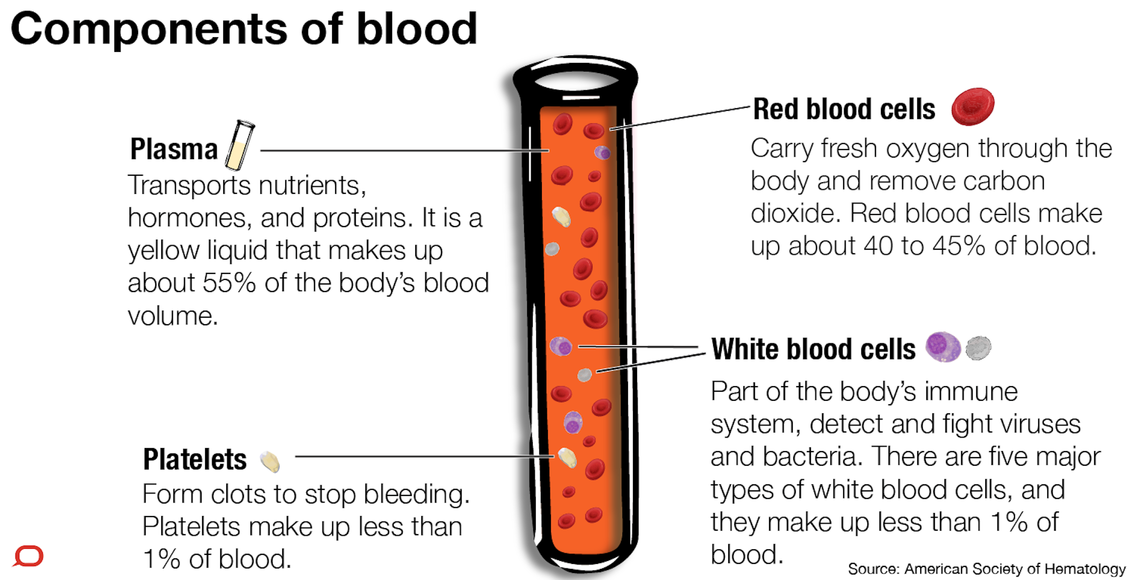 explainer-what-s-actually-in-our-blood