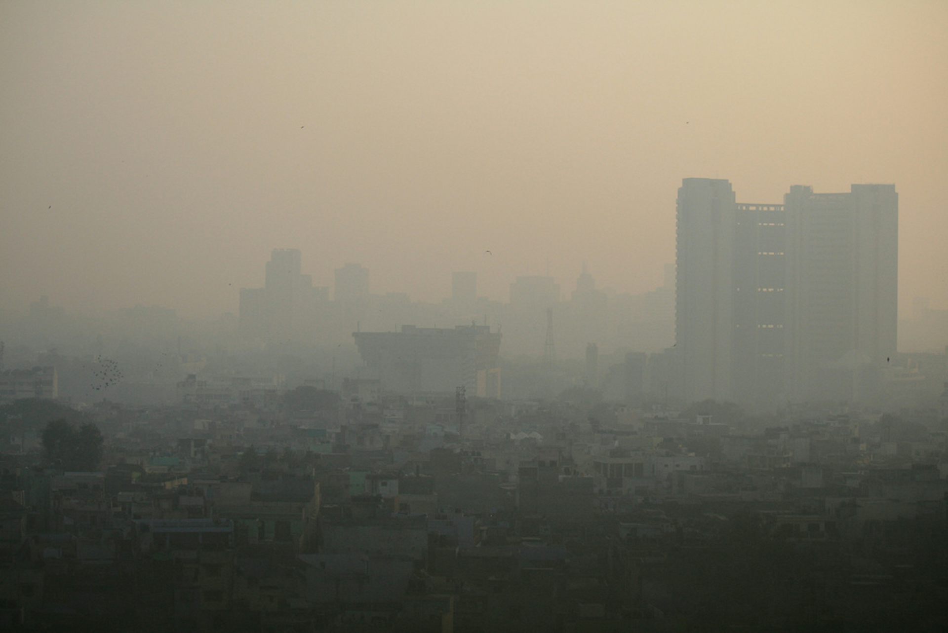 NGT rejected states' report on pollution, sought information on immediate action within 10 days