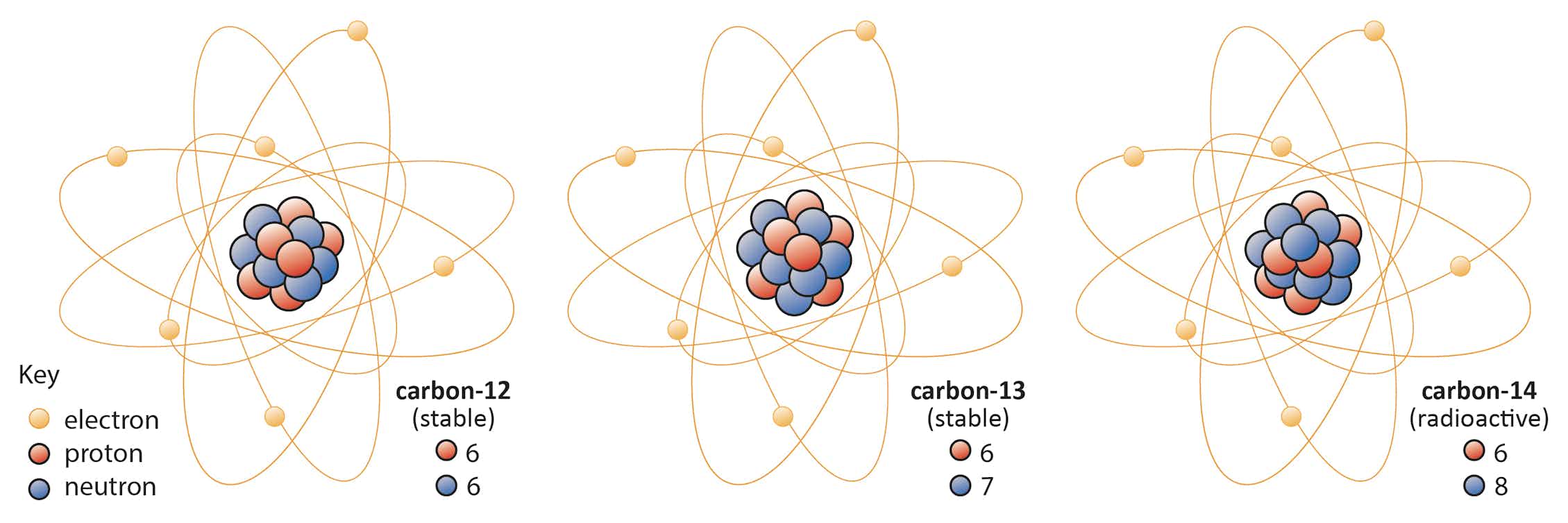 Изотоп углерода 13