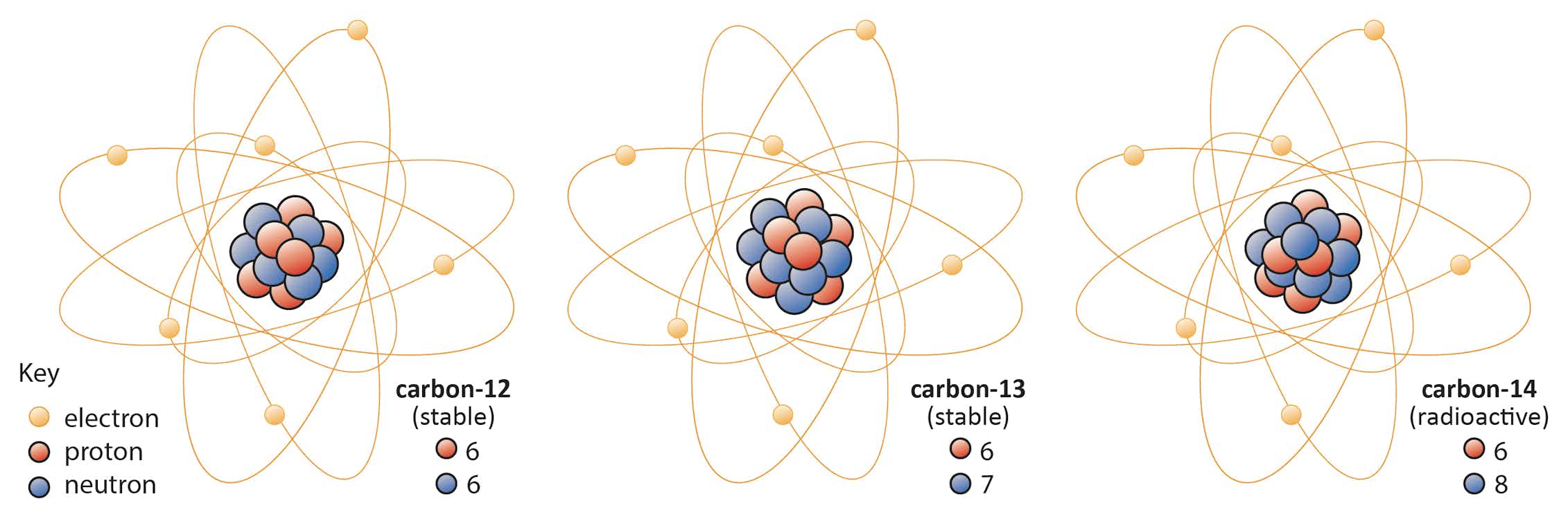 Изотоп s. Изотопы углерода. Атом углерода. Модель атома углерода. Атомы изотопов.