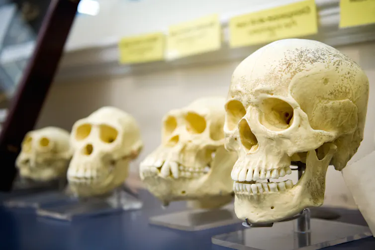 File 20170724 24368 xrasqv.jpg?ixlib=rb 1.1