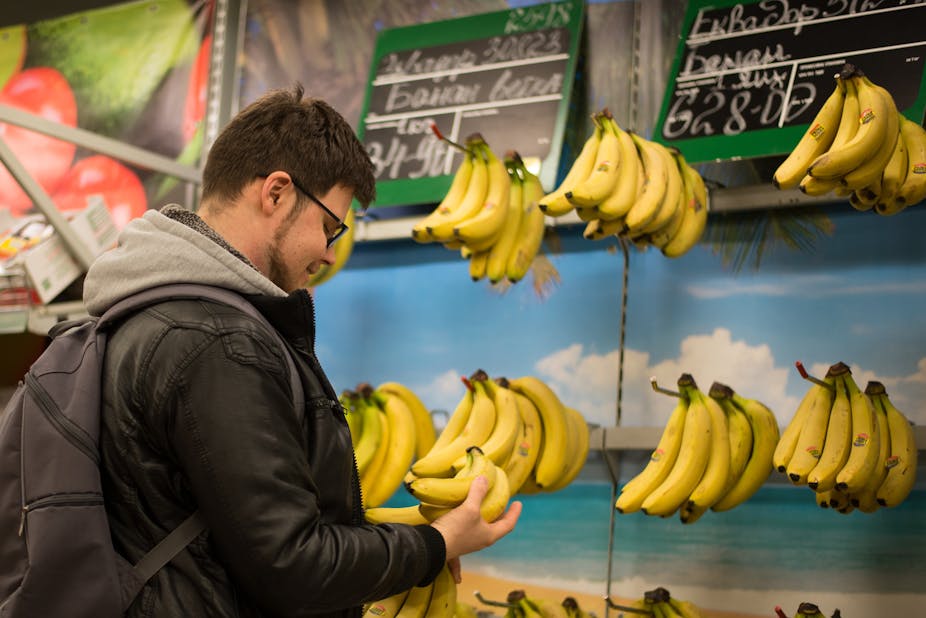 En Direct Des Especes Dites Le Avec Des Bananes En Direct Des Especes Dites Le Avec Des Bananes