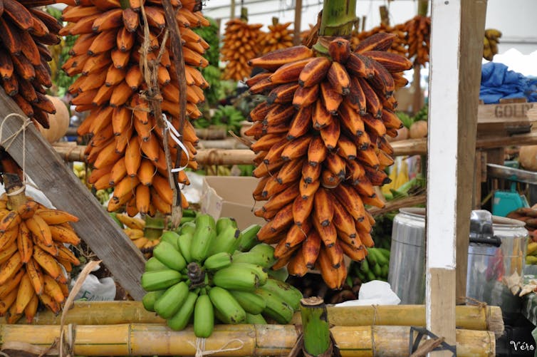 file 20170725 13256 14sz66i