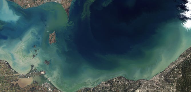 an analysis of the topic of red tides and the blooms of algae Economics of harmful algal blooms: literature review april 19, 2013 sponsor: microscopic plant-like organisms known as algae naturally occur in most marine and fresh- issues related to red tide (eg, the state of current knowledge of red tides by residents or. an analysis of the topic of red tides and the blooms of algae Economics of harmful algal blooms: literature review april 19, 2013 sponsor: microscopic plant-like organisms known as algae naturally occur in most marine and fresh- issues related to red tide (eg, the state of current knowledge of red tides by residents or.
