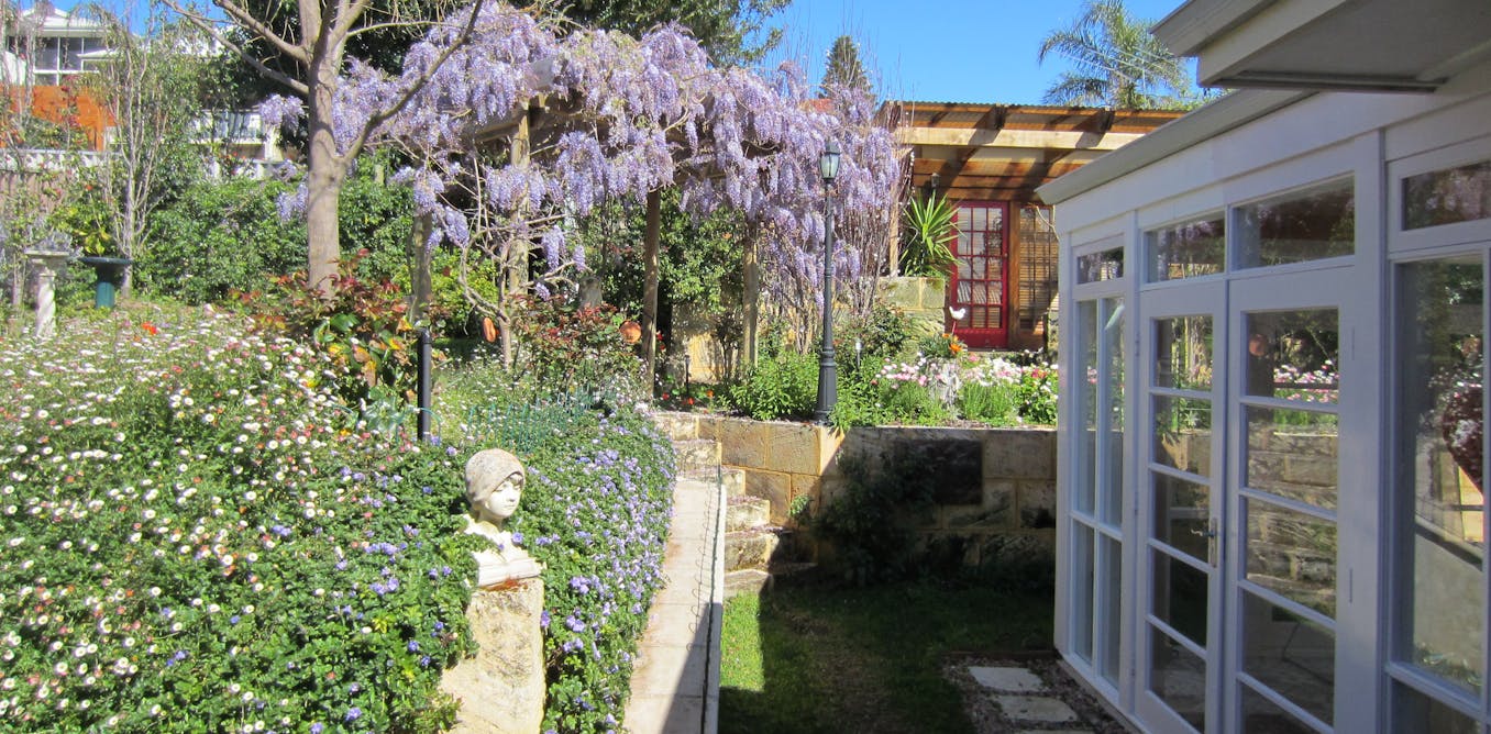 Vanishing Australian Backyards Leave Us Vulnerable To The Stresses