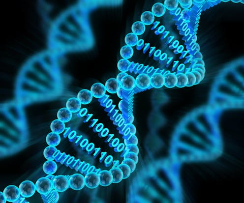 Storing Data In Dna Brings Nature Into The Digital Universe Storing Data In Dna Brings Nature Into The Digital Universe
