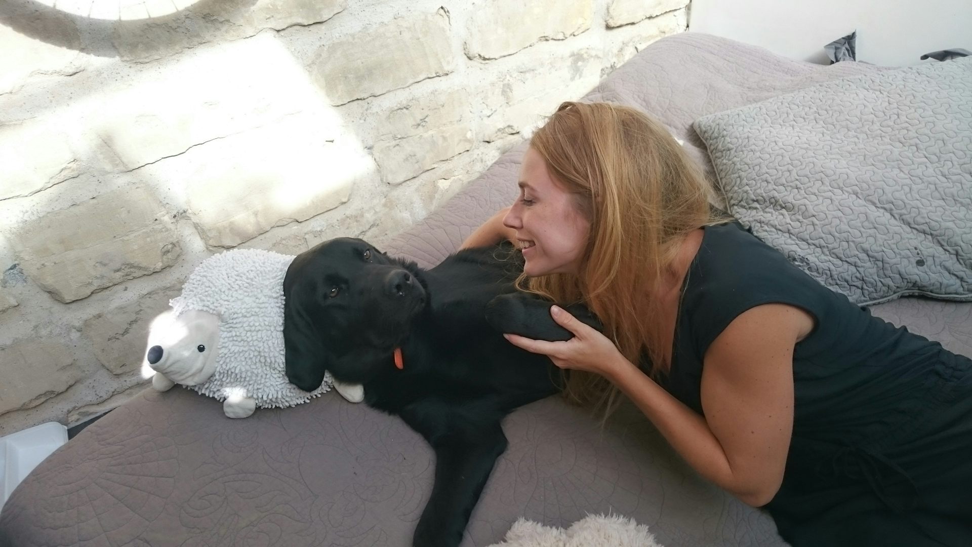 Comment Parler Chien Chien A Votre Gentil Toutou