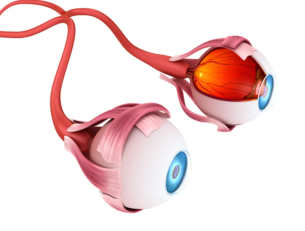 Bionic Vision System What Is Bionic Eye Implant
