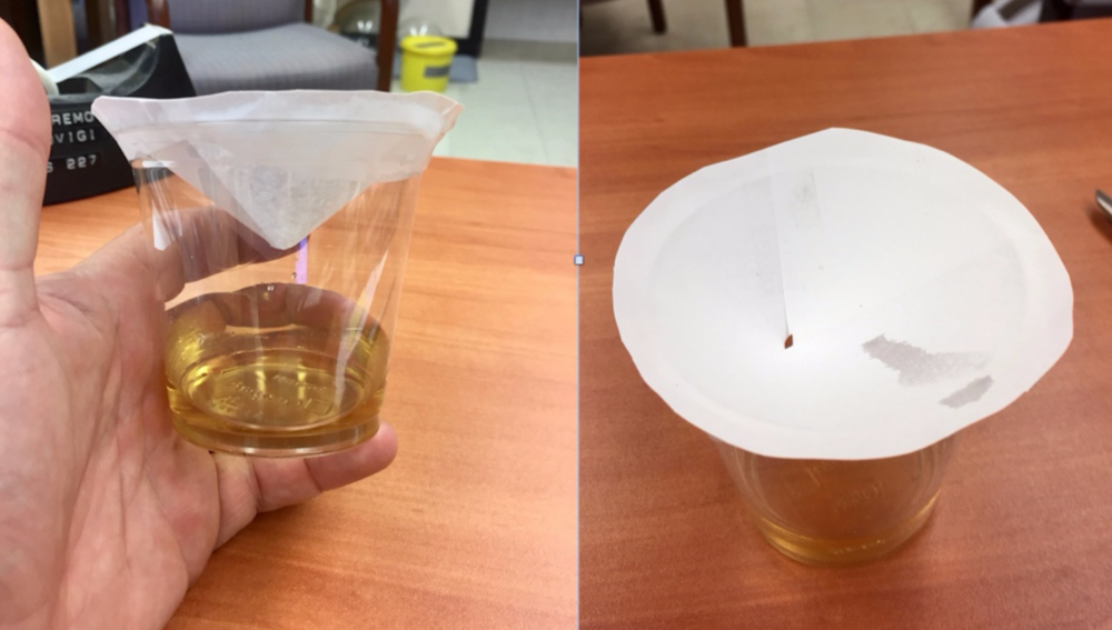 How To Kill Fruit Flies According To A Scientist