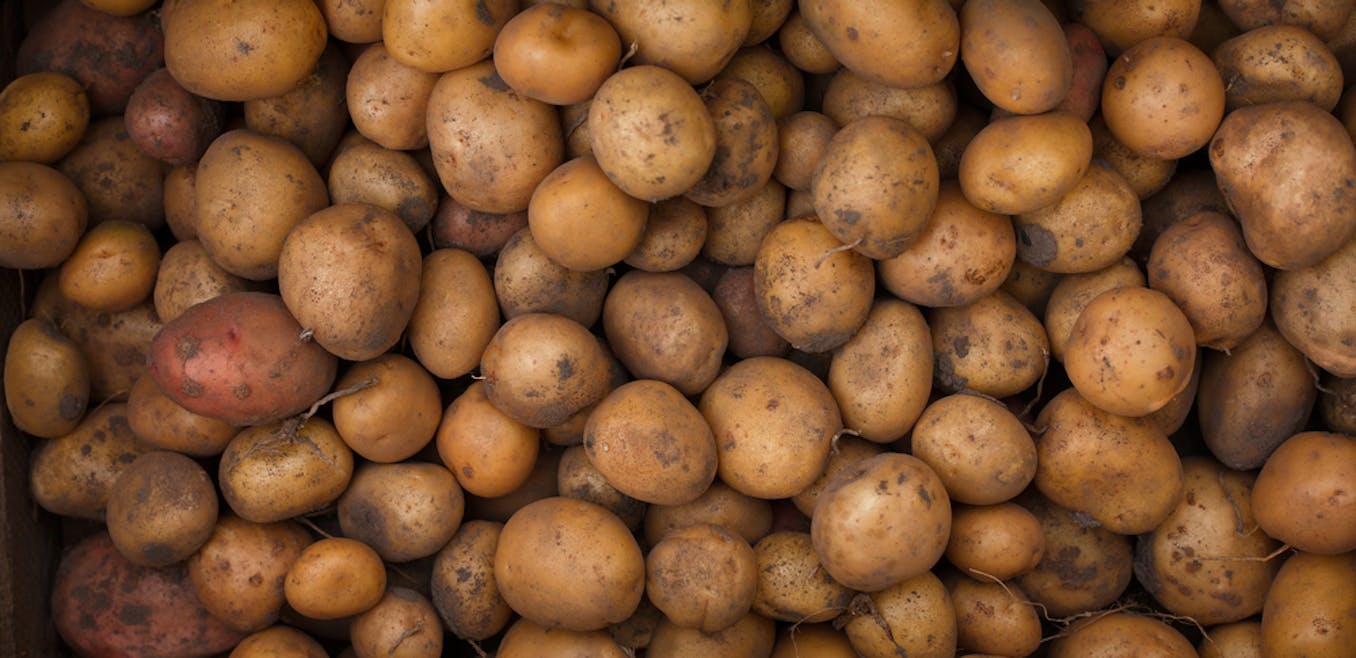 How the humble potato fuelled the rise of liberal capitalism