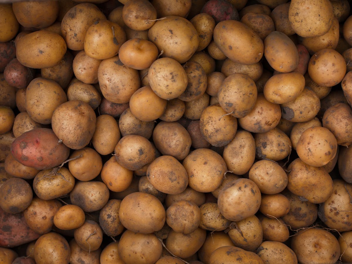 How The Humble Potato Fuelled The Rise Of Liberal Capitalism How The Humble Potato Fuelled The Rise Of Liberal Capitalism