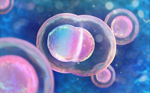 Human embryo CRISPR advances science but let's focus on ethics ... Human embryo CRISPR advances science but let's focus on ethics ...
