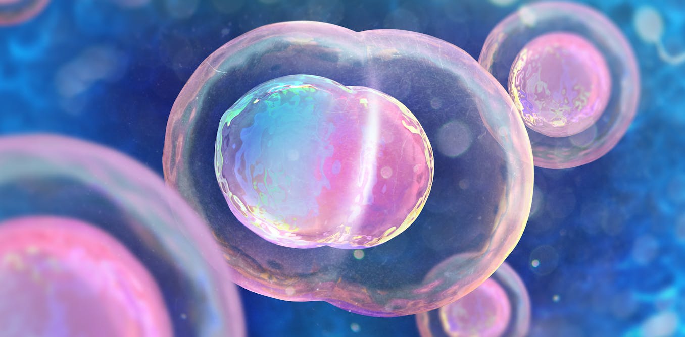 Human embryo CRISPR advances science but let's focus on