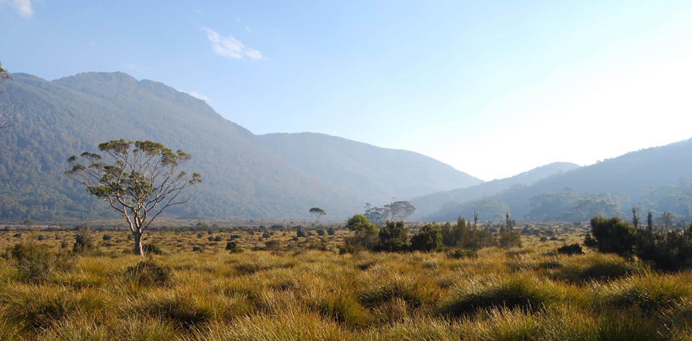 Biodiversity crisis demands bolder thinking than bagging national parks