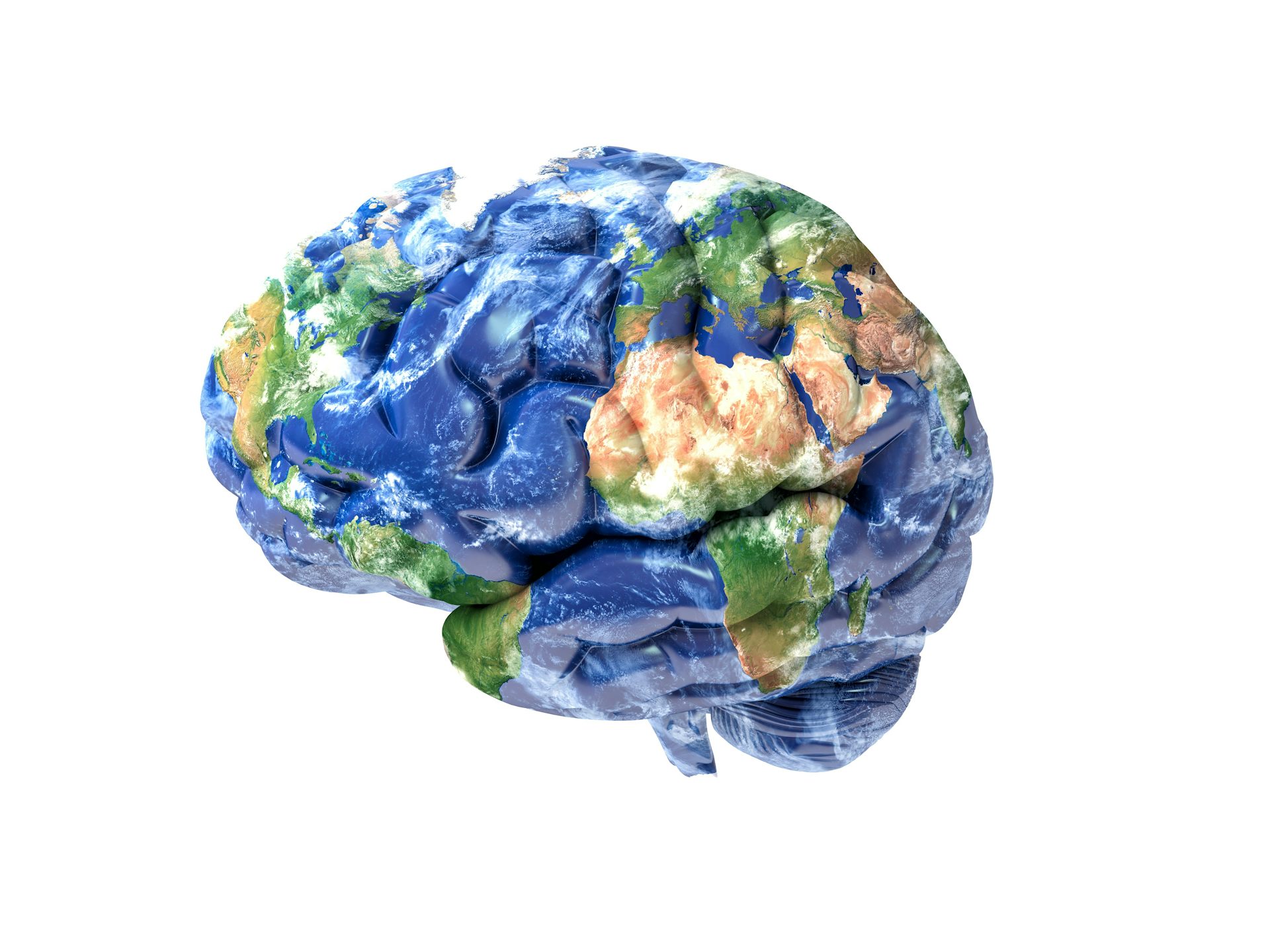 human brain mapping 2017
