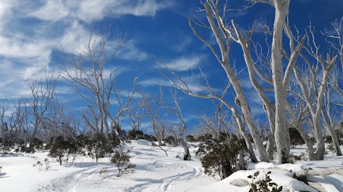 Risultati immagini per Antropic global warming hoax