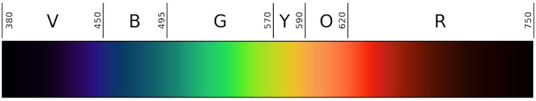 Una rappresentazione lineare della gamma visibile dello spettro elettromagnetico. 
La luce a lunghezza d'onda più corta è a sinistra con la luce a lunghezza d'onda più lunga a destra. Wikimedia Commons