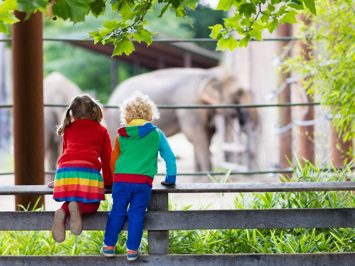 How To Save Zoos Focus On Education Conservation
