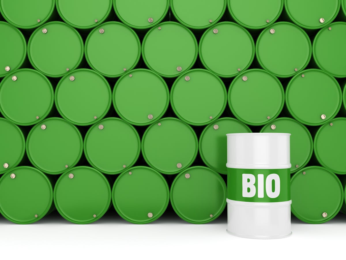 Algal biofuel production is neither environmentally nor commercially  sustainable