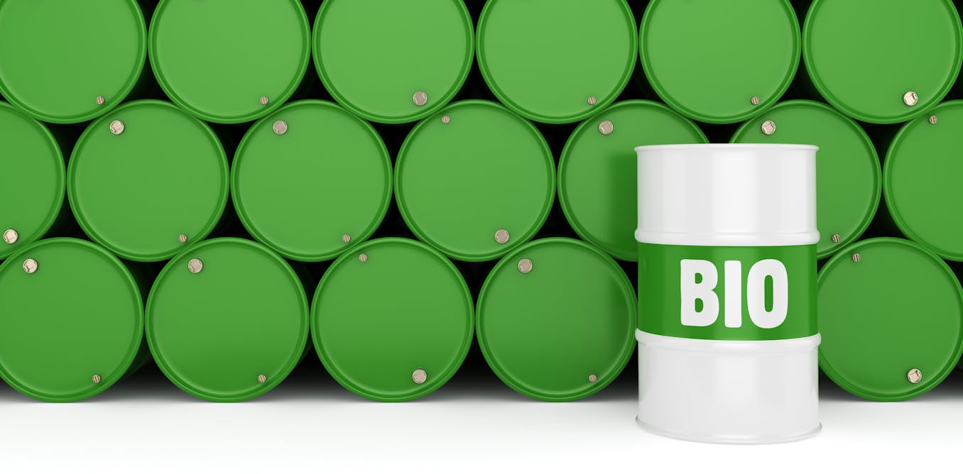 Algal biofuel production is neither environmentally nor  Algal biofuel production is neither environmentally nor