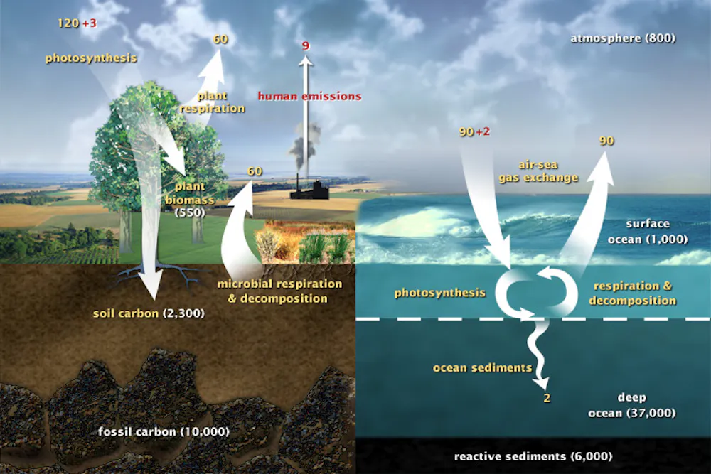 Changing Atmosphere Curbing climate change: Why it's so hard to act in time