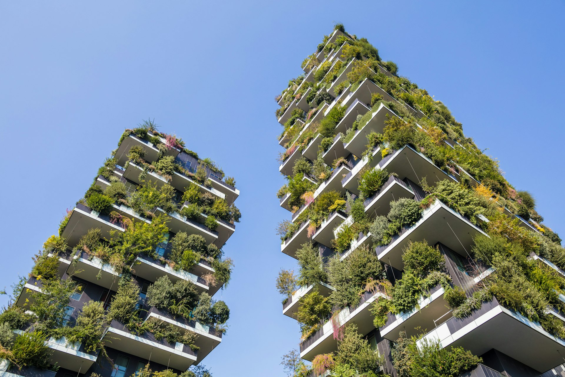 Folly Architecture Design Projects Best Decorations