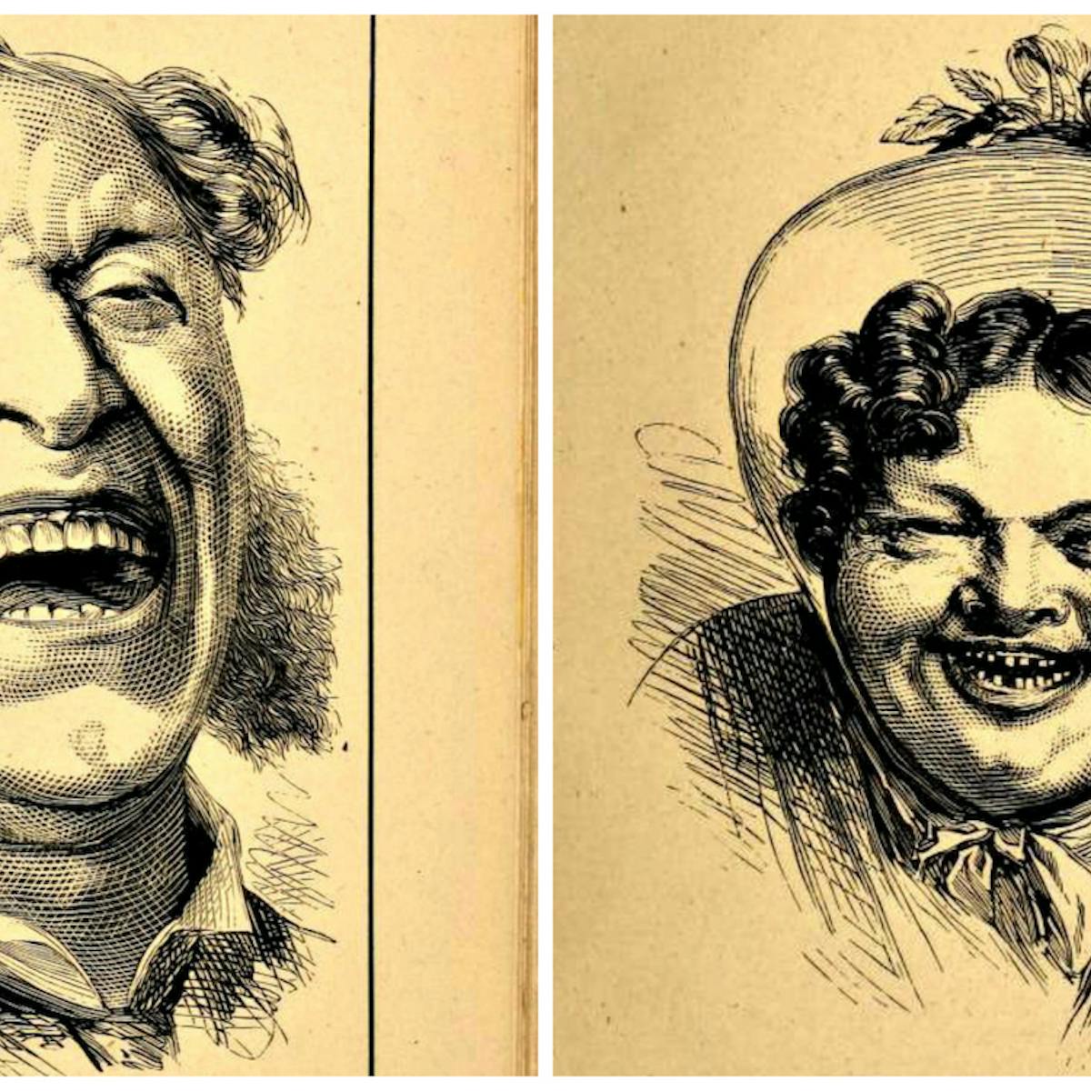 Vitreous Humour Meaning In English لم يسبق له مثيل الصور Tier3 Xyz