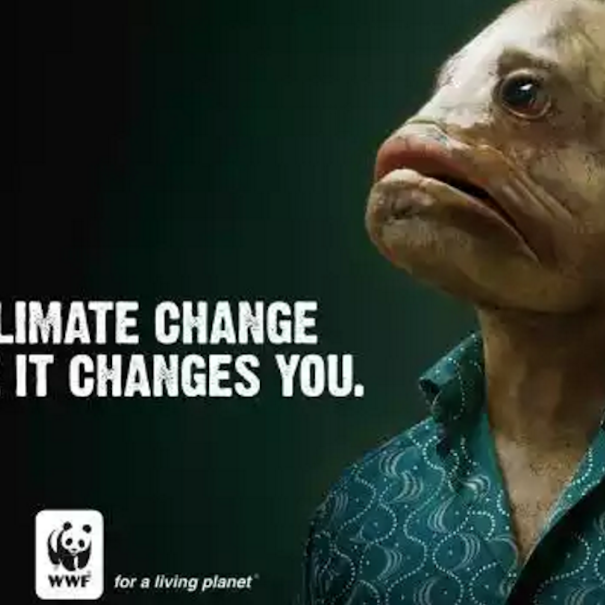 Quelles Images Pour Sensibiliser Aux Enjeux Du Changement Climatique Quelles Images Pour Sensibiliser Aux Enjeux Du Changement Climatique