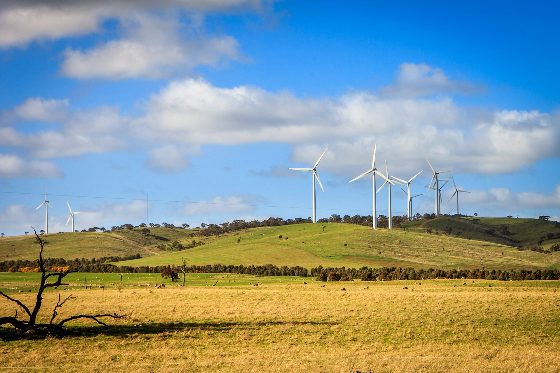 Victoria is the latest state to take renewable energy into its own hands