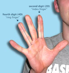 Finger size does matter… in sports