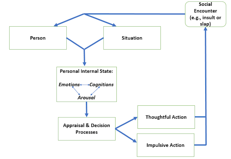 Anger, aggression and violence: it matters that we know the difference