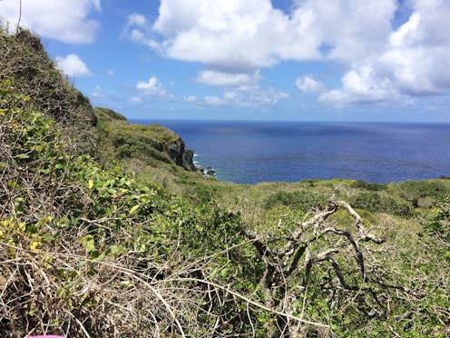 Guam S Forests Are Being Slowly Killed Off By A Snake