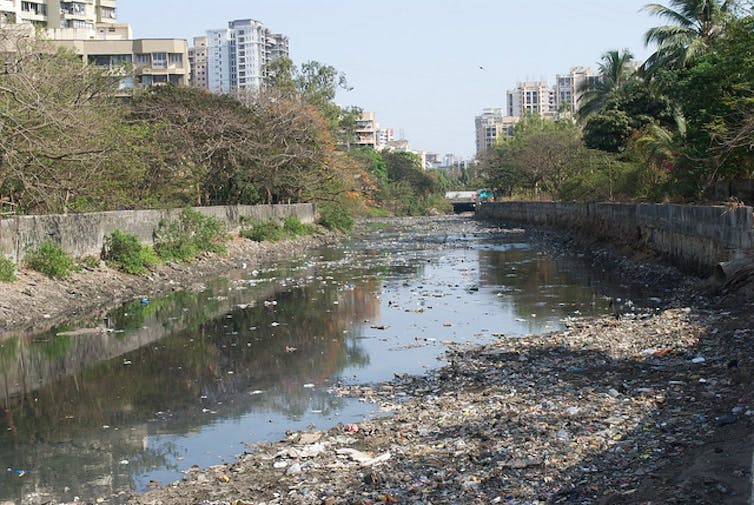 Mumbai floods: what happens when cities sacrifice ecology for development