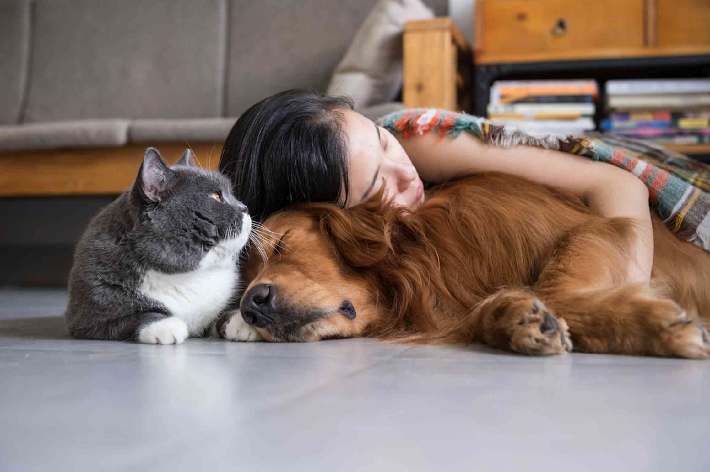 Just like humans, more cats and dogs are living with chronic health