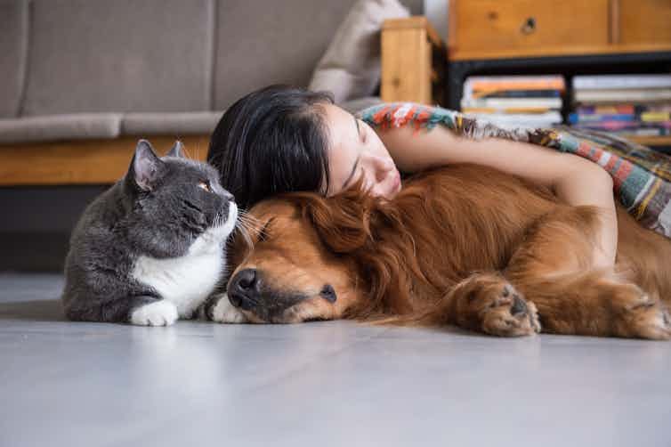 Just Like Humans More Cats And Dogs Are Living With Chronic Health Just Like Humans More Cats And Dogs Are Living With Chronic Health