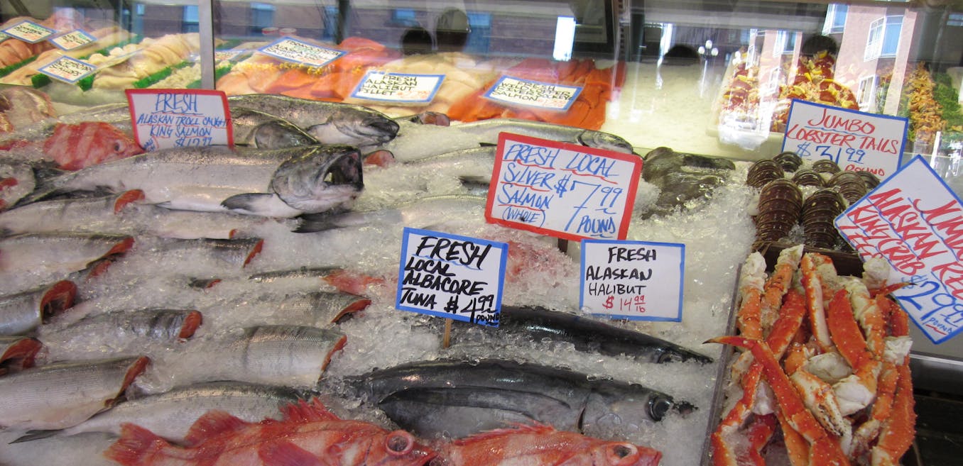 How a tiny portion of the world's oceans could help meet global seafood  demand