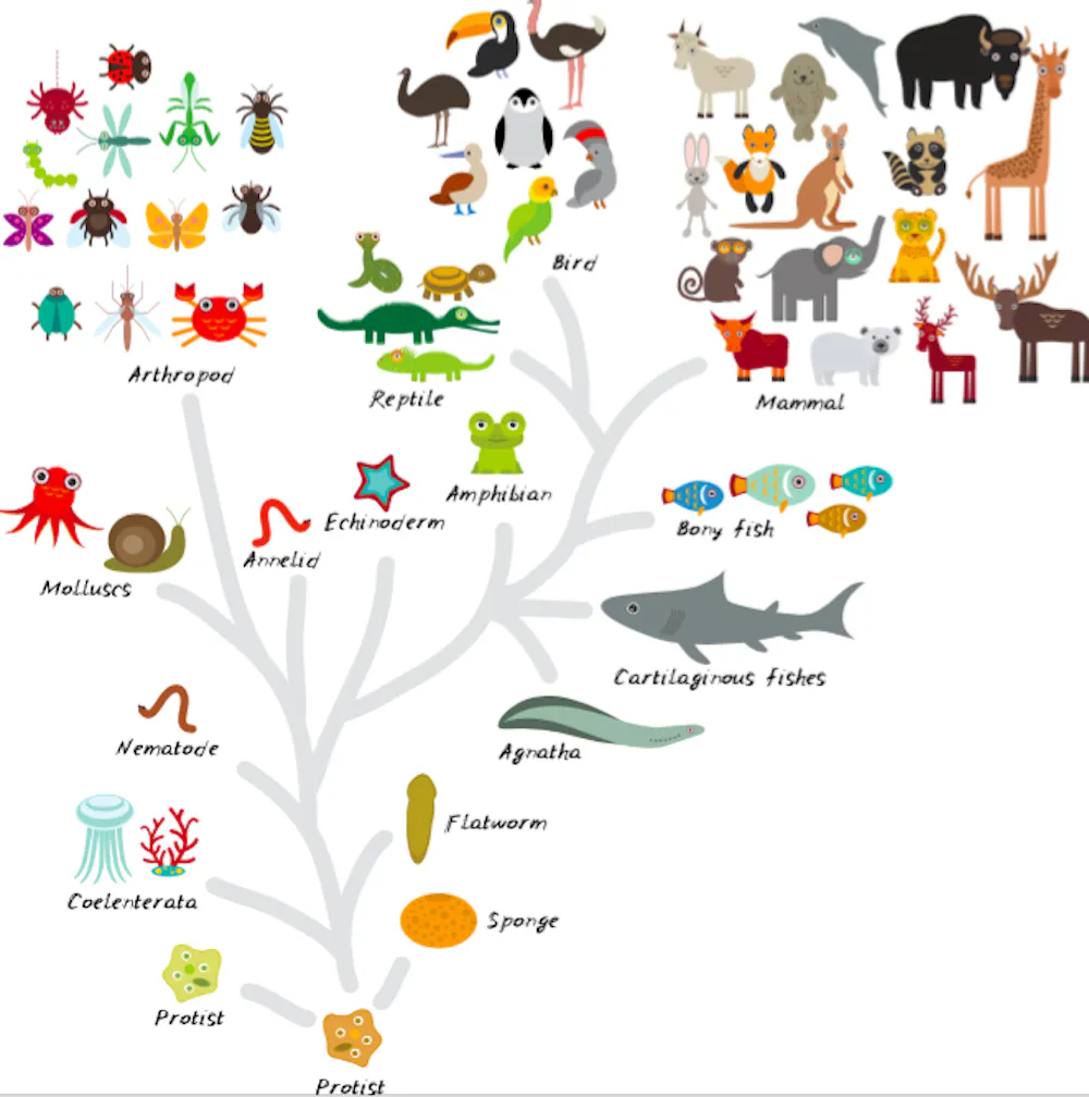 How animal genes go into battle to dominate their offspring